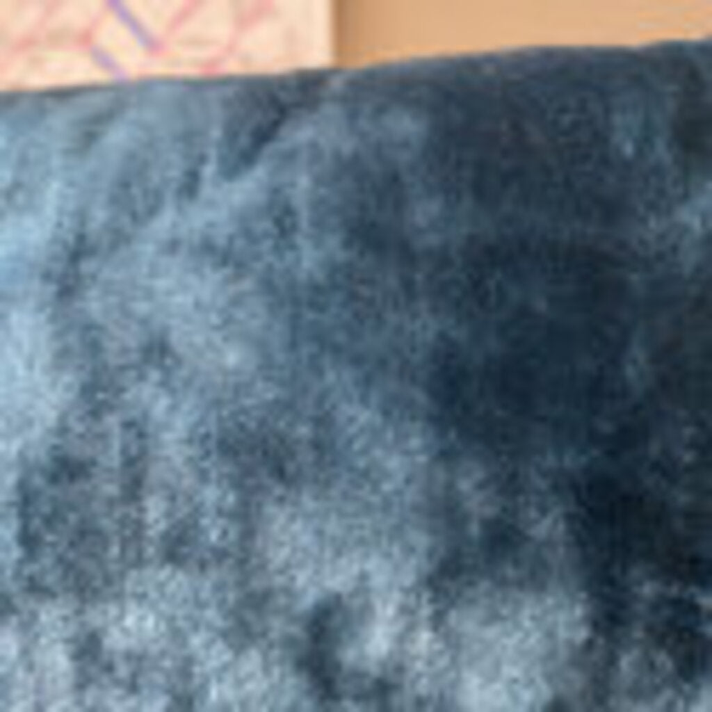West Elm Velvet Pillow