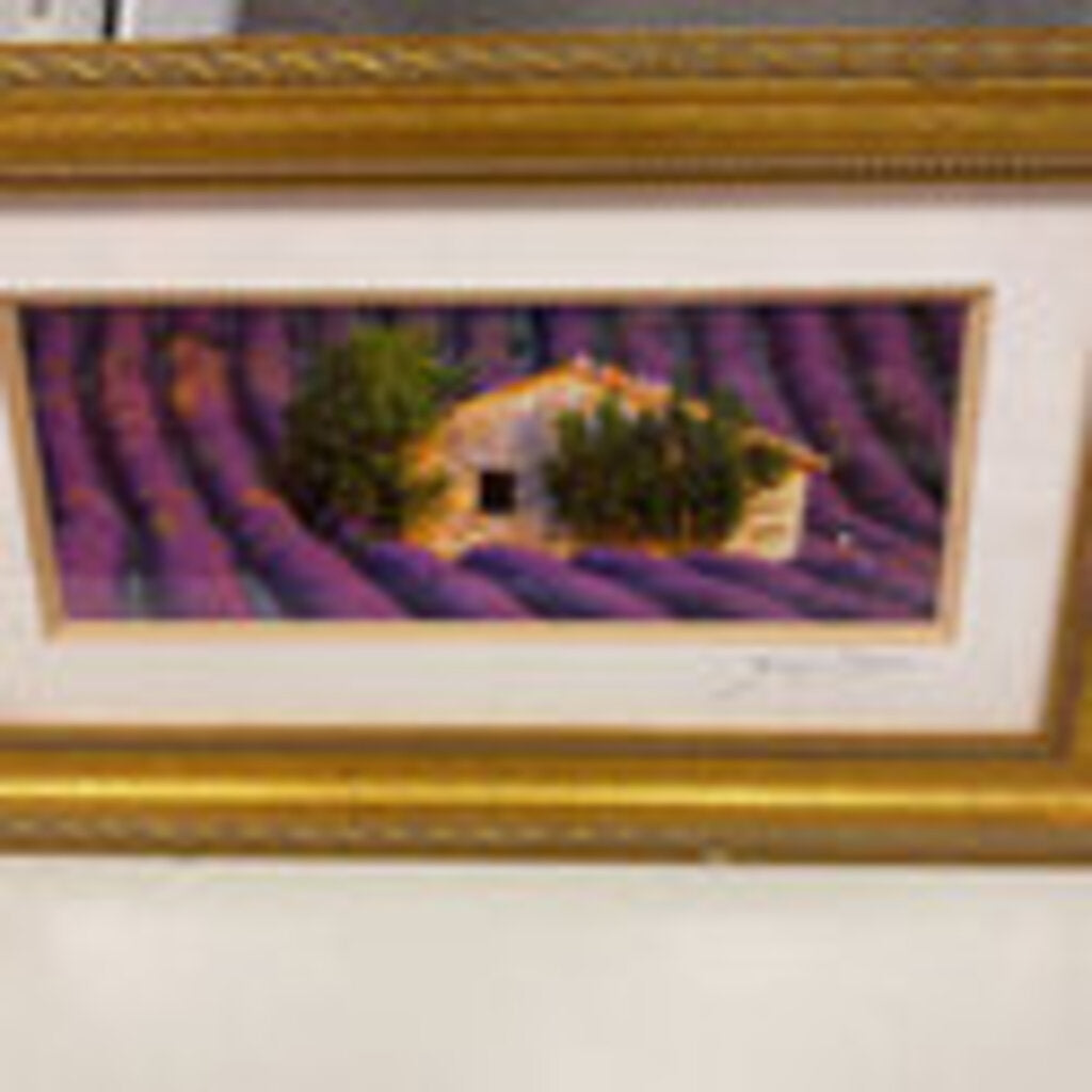 G Sioen " Cottage" Photo