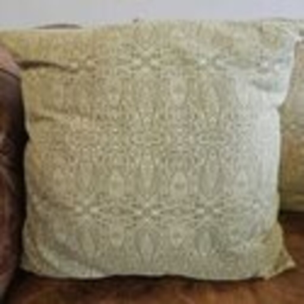 Green Paisley Accent Pillow