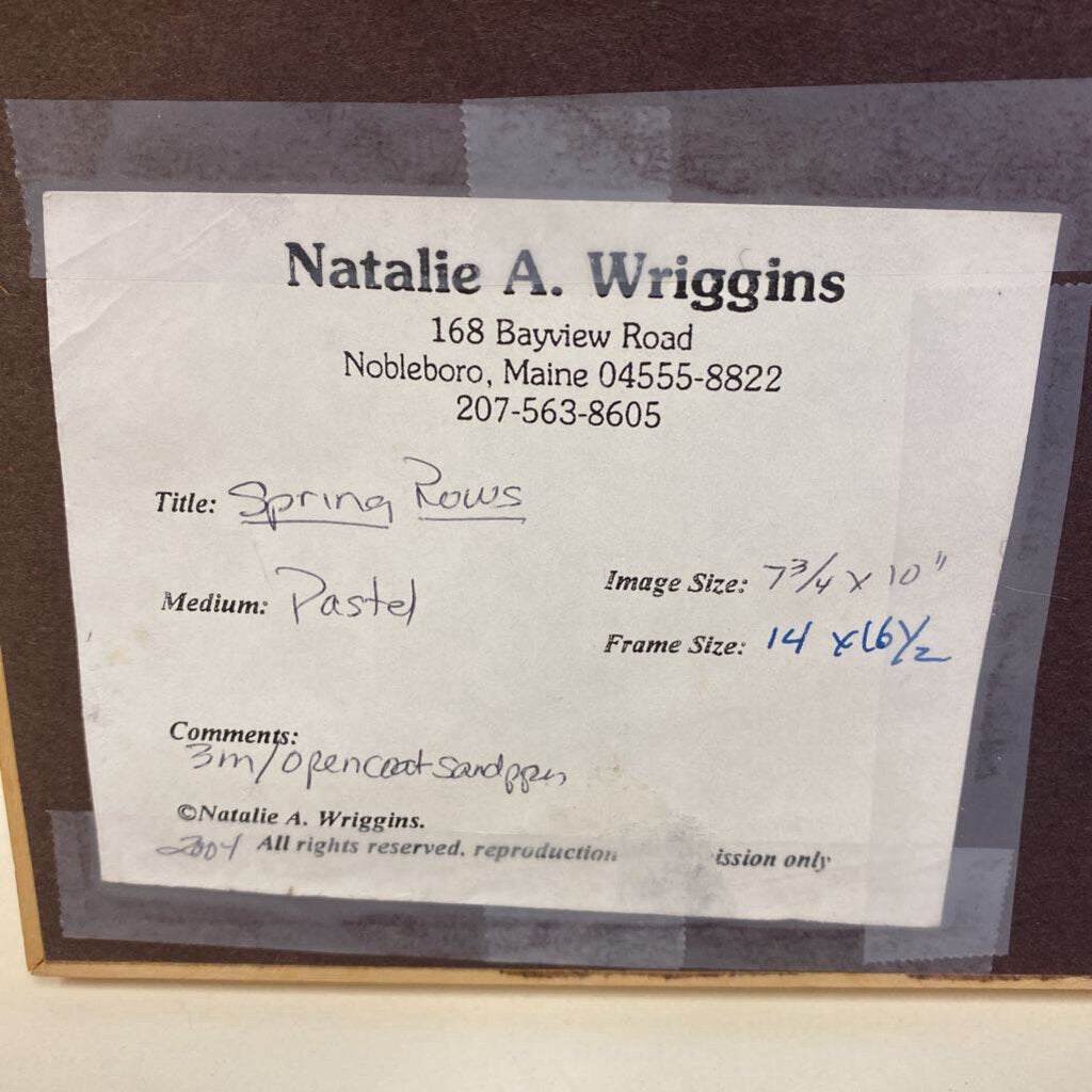 Natalie A Wriggins " Spring Rows"