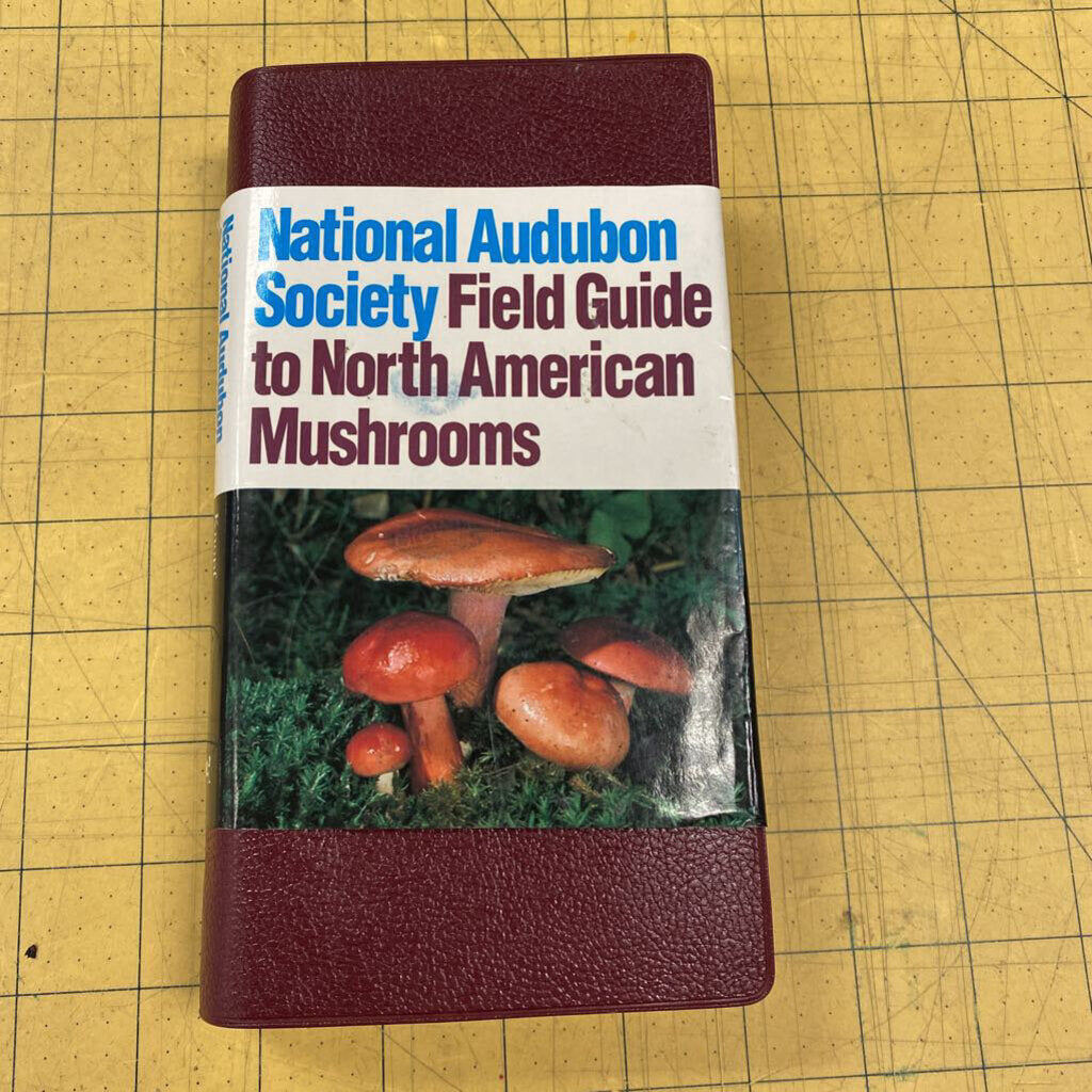 National Audubon Mushrooms