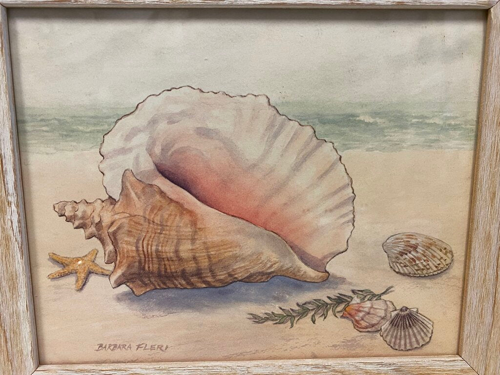 Barbara Fleri "Sea Shell"