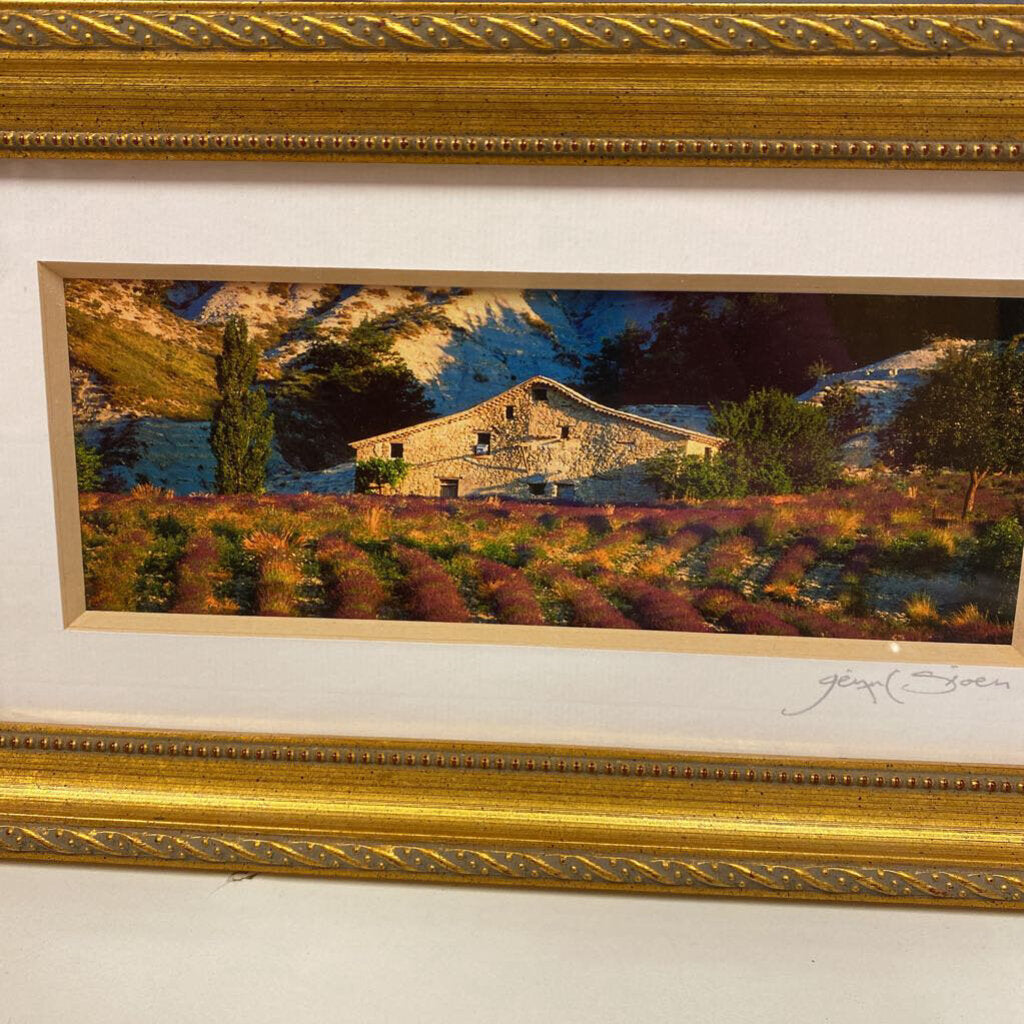 G Sioen " Mountain Field" Photo