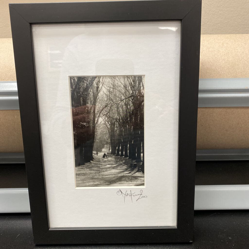 Fitz Roy Gardens Photo Print