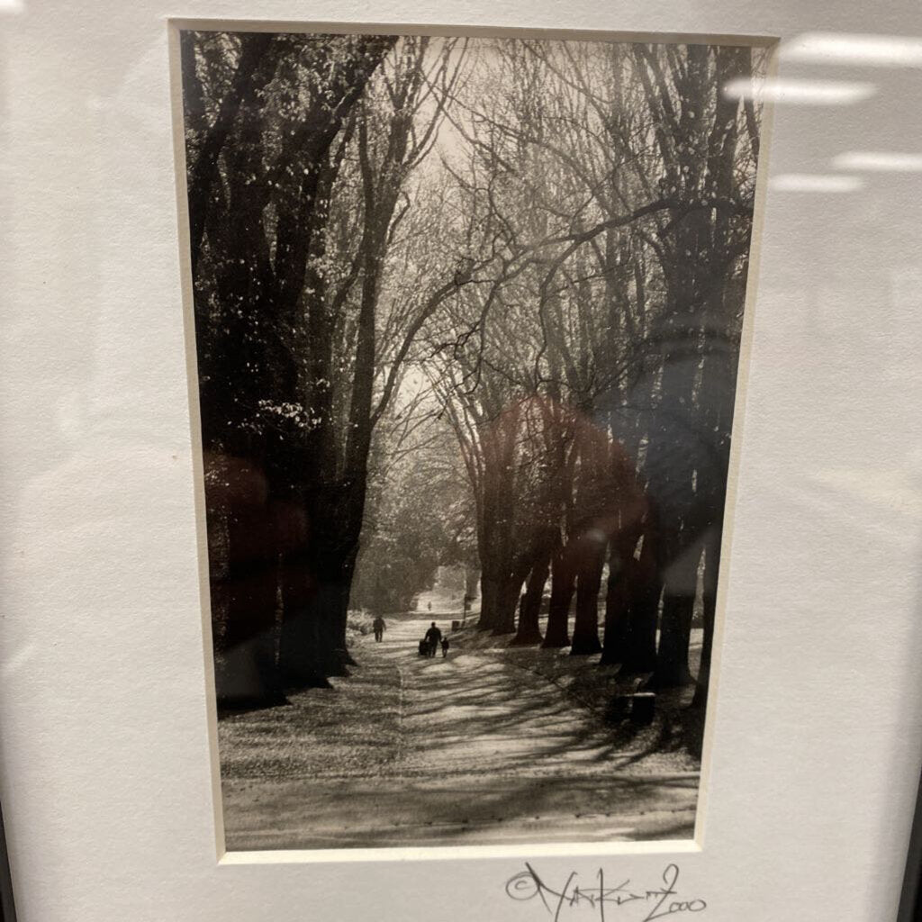Fitz Roy Gardens Photo Print