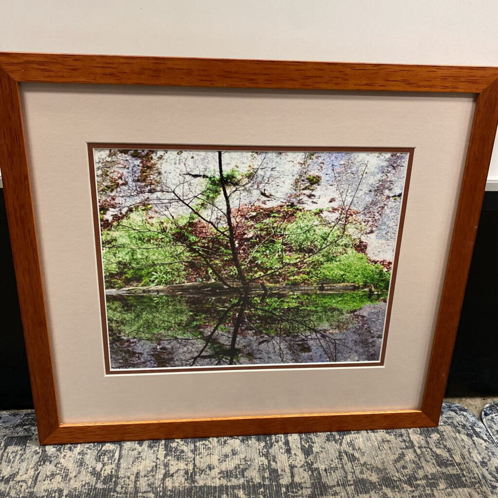 Marla Puziss "Tree Reflection" Photo