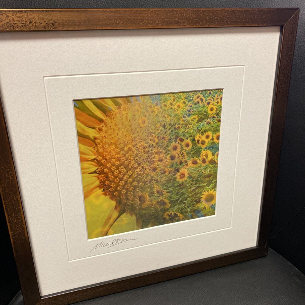 Michael Brown "Sunflowers"