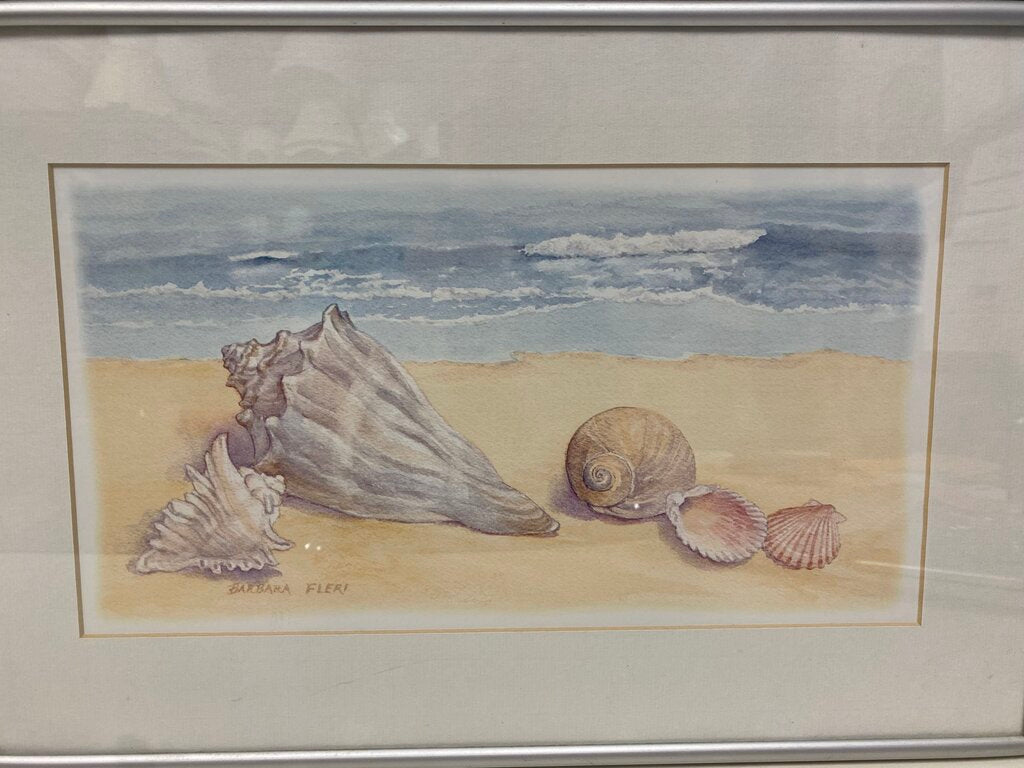 Fleri "Shells"