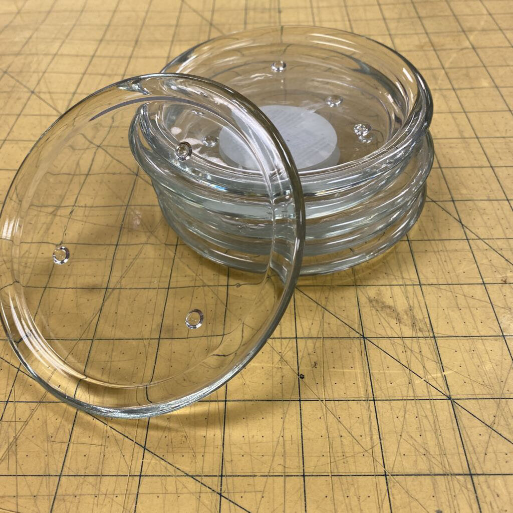 6 x Glass Pillar/Plant Coaster