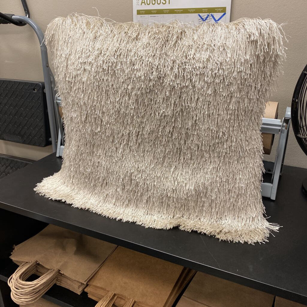 Pier One Long Silky Fringe Pillow