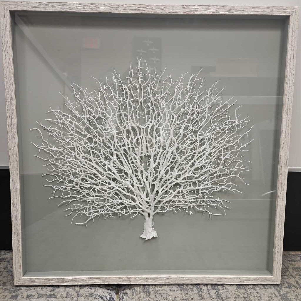 Coral Shadow Box Wall Art