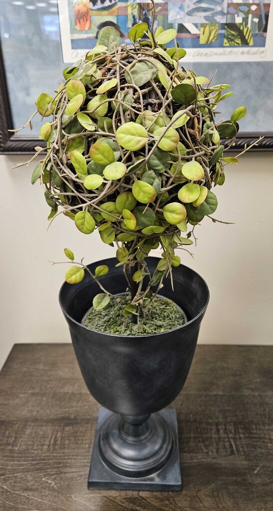 Pottery Barn Single Top Topiary