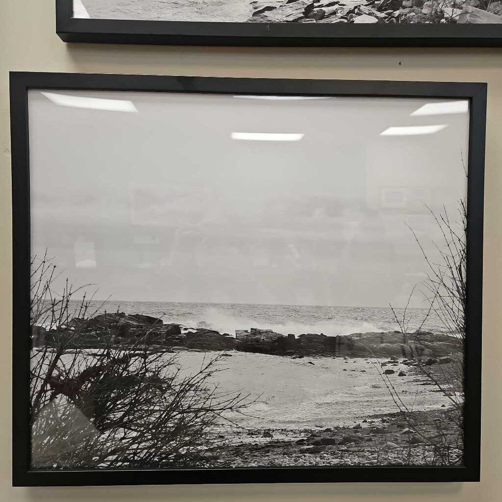 Prouts Neck Black & White Photo Print #2