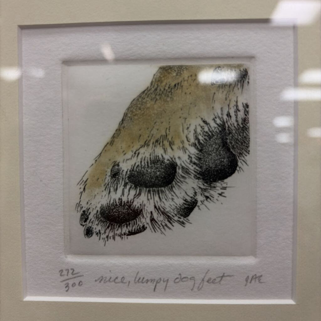 "Nice, lumpy dog feet" Framed, Signed, Print by J. Anne Eldridge