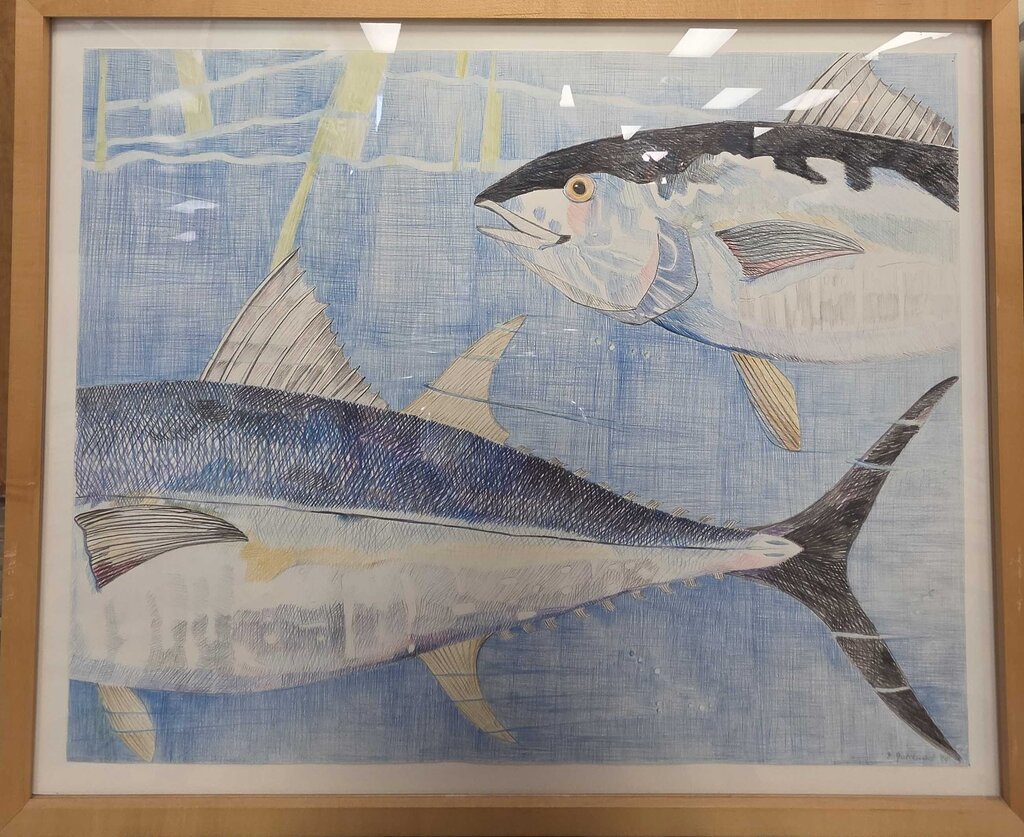 Original Framed Pencil on Paper Fish I by Ellen Gutekunst