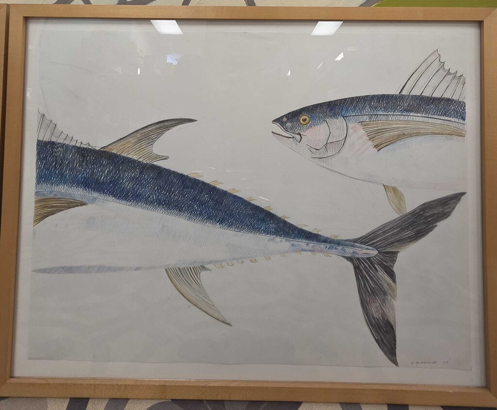 Original Framed Pencil on Paper Fish II by Ellen Gutekunst