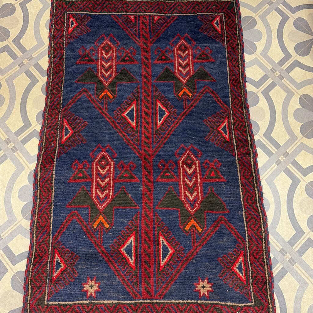 Baluch Hand Knotted 100% Wool Area Rug