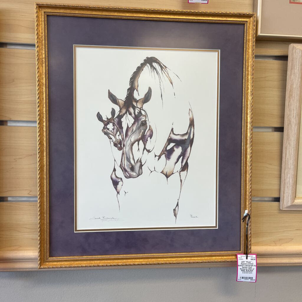 "Peak" - Signed Limited Edition Lithograph by Sarah Lynn Richards (223 of 1500)