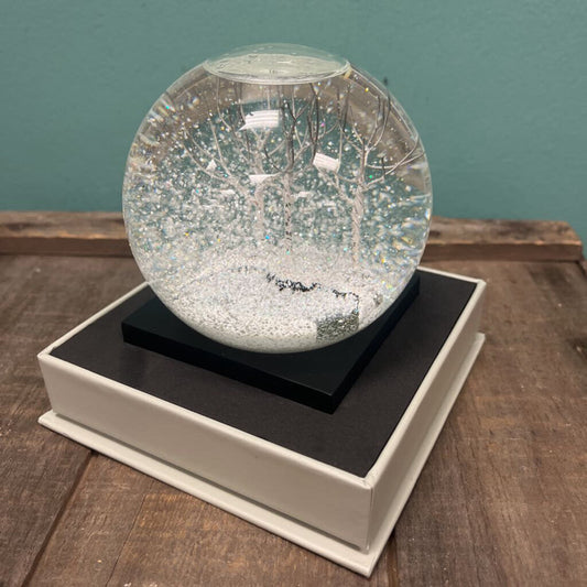 Cool Snow Globe Winter
