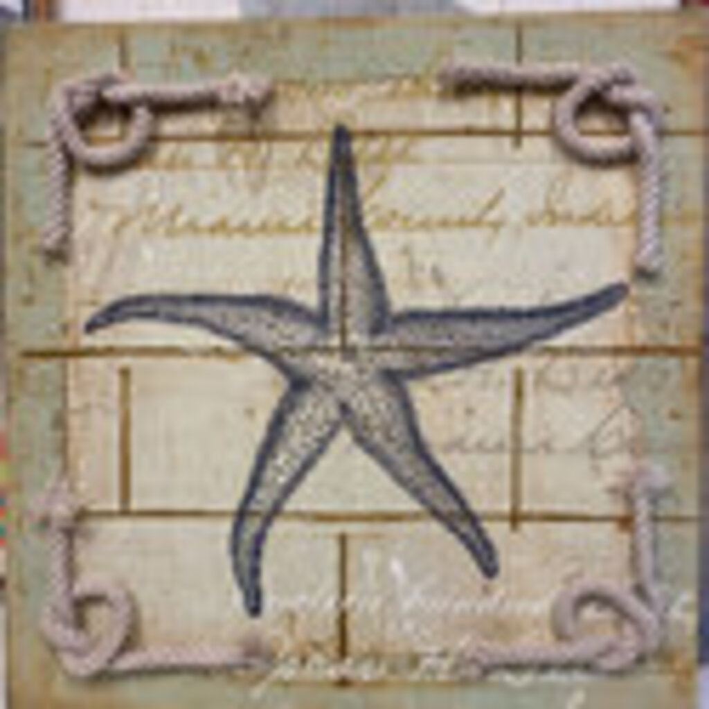 Starfish Canvas Print