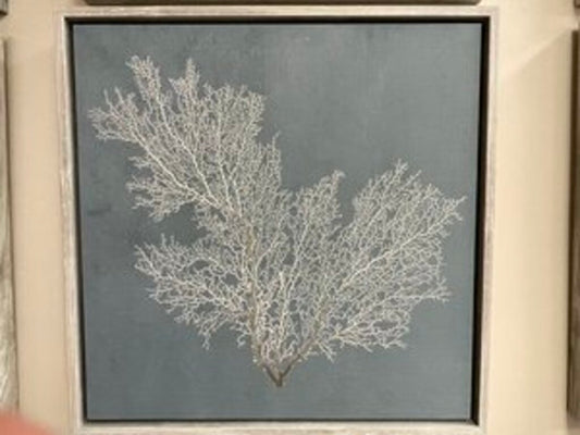 "Beauty Under the Sea VII" Print on Canvas