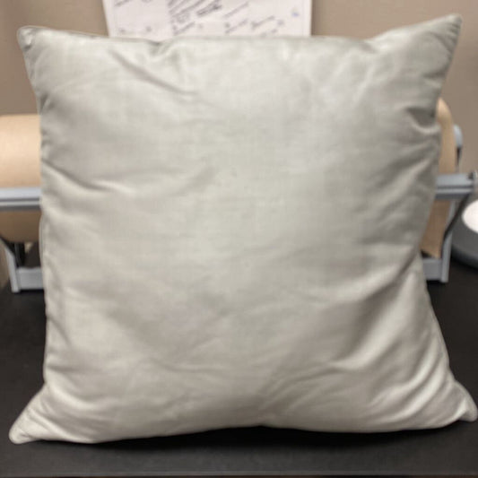 Restoration Hardware Silk Pillow