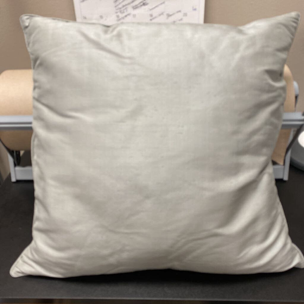 Restoration Hardware Silk Pillow