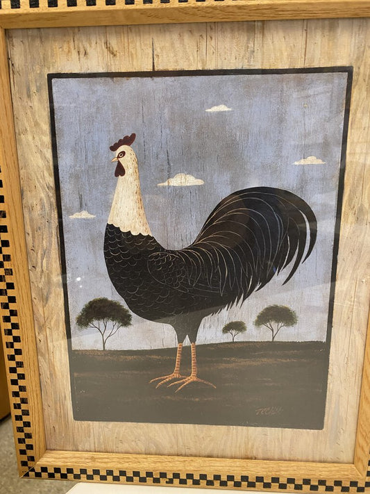 Chicken Print - White Head