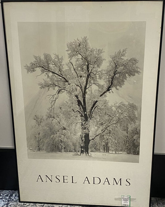 Ansel Adams - Photo-Oak Tree, Snowstorm Yosemite