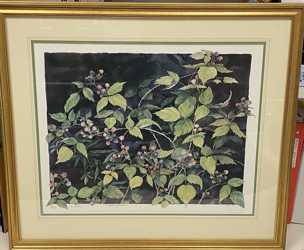 Gary Milek " Black Raspberries" 426/550