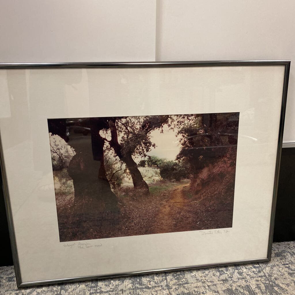 Dimiti Fotos "The Farm Road" Photo