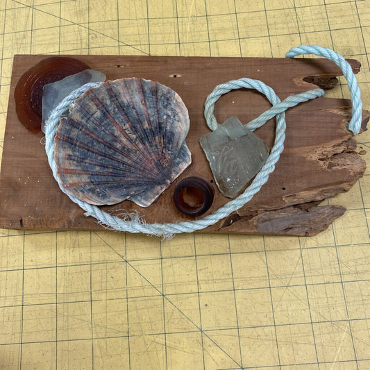 Bermuda Souvenir Shell Plaque