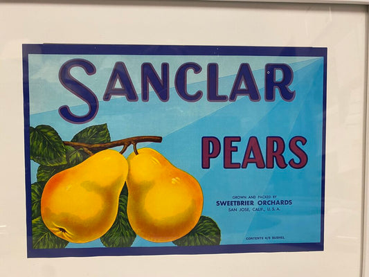 "Sanclar Pears"