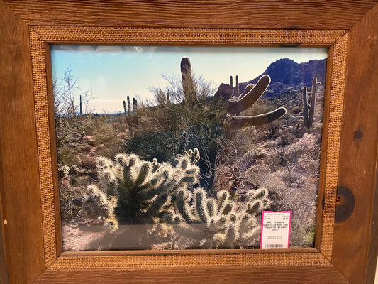 Walter's Gallery -Granite Mtn Preserve