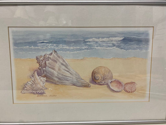Fleri "Shells"