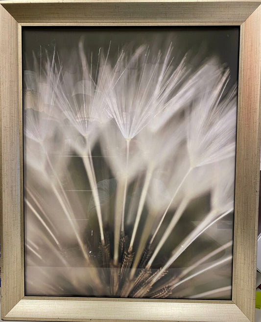 "Dandelion"