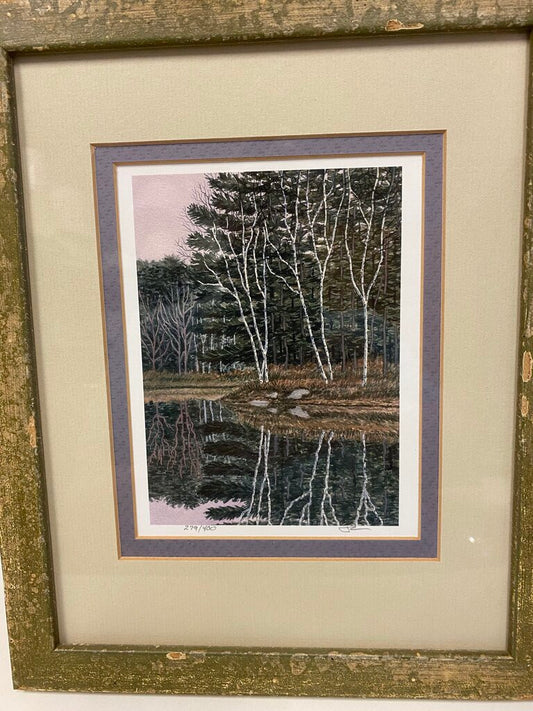 White Birch Trees By the Lake -279/400
