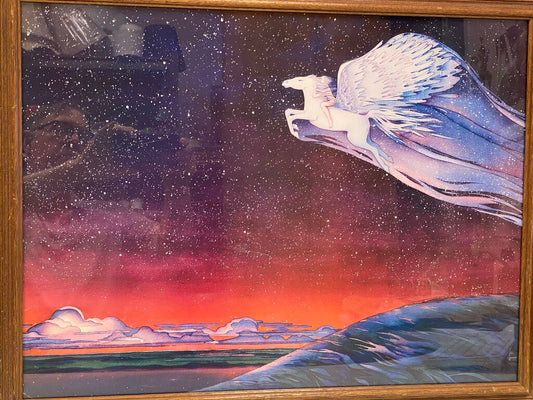 Pegasus Night Flight