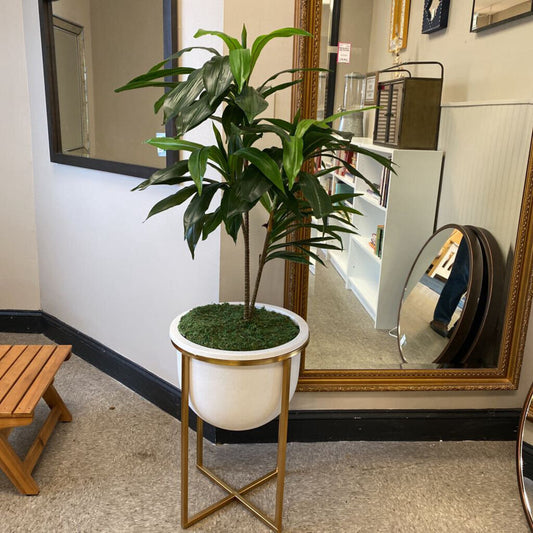 West Elm Large Eden X Base Planter