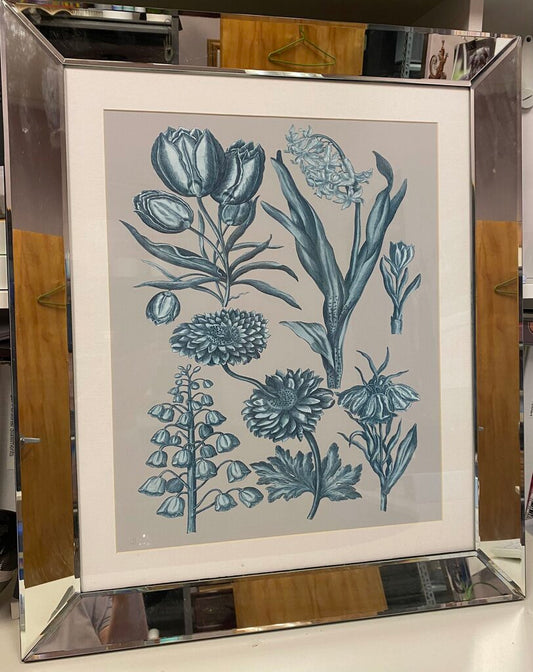 Mirror Framed Botanical Art Print