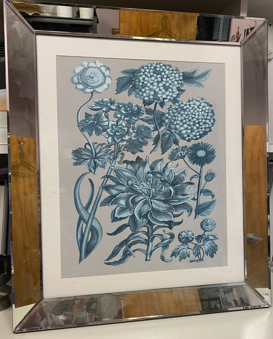 Mirror Framed Botanical Art Print