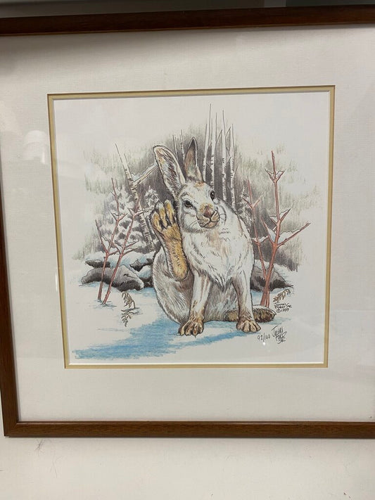 John Ford Sr "Snowshoe Hare" 92/100