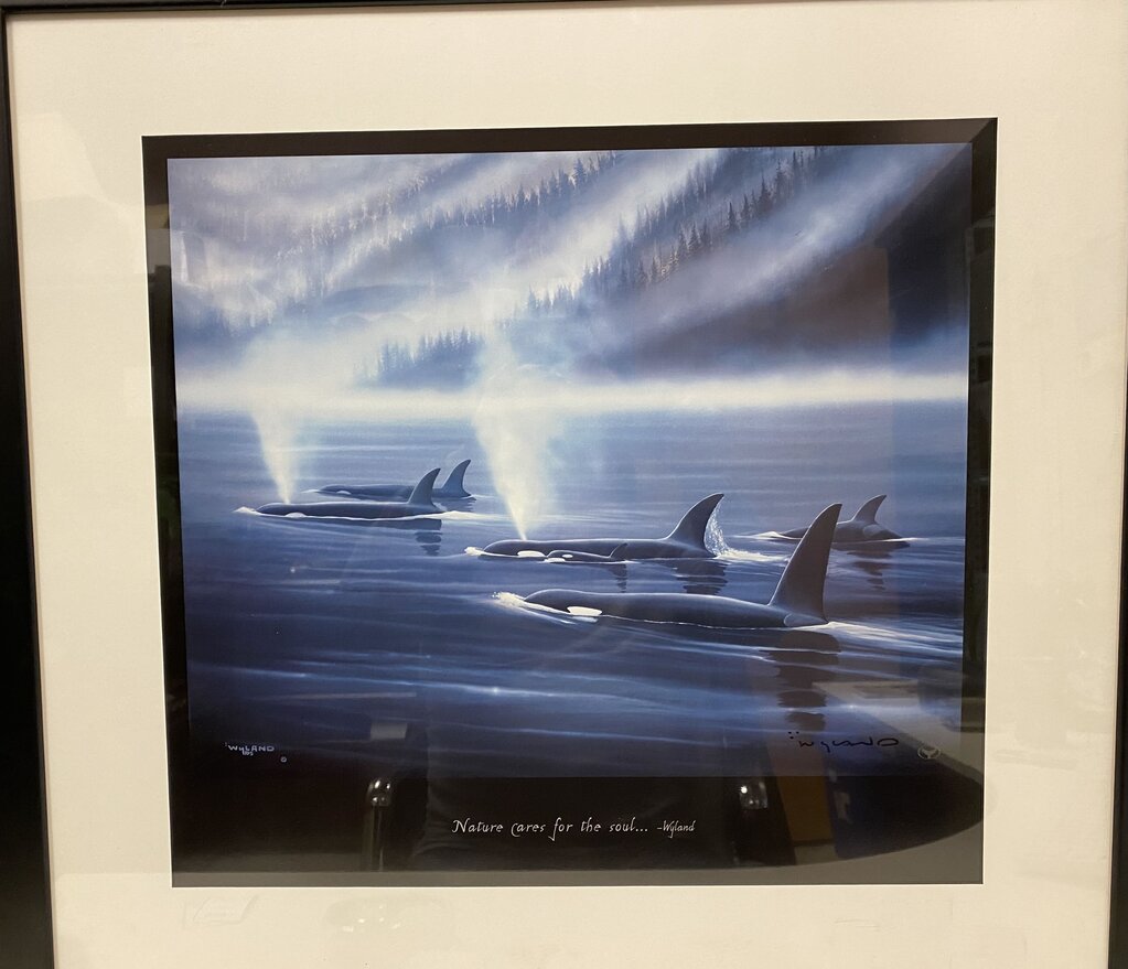 Wyland "Nature Cares for the Soul.."