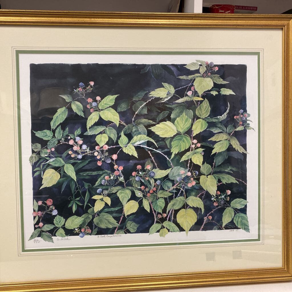 Gary Milek "Black Raspberries" 426/550