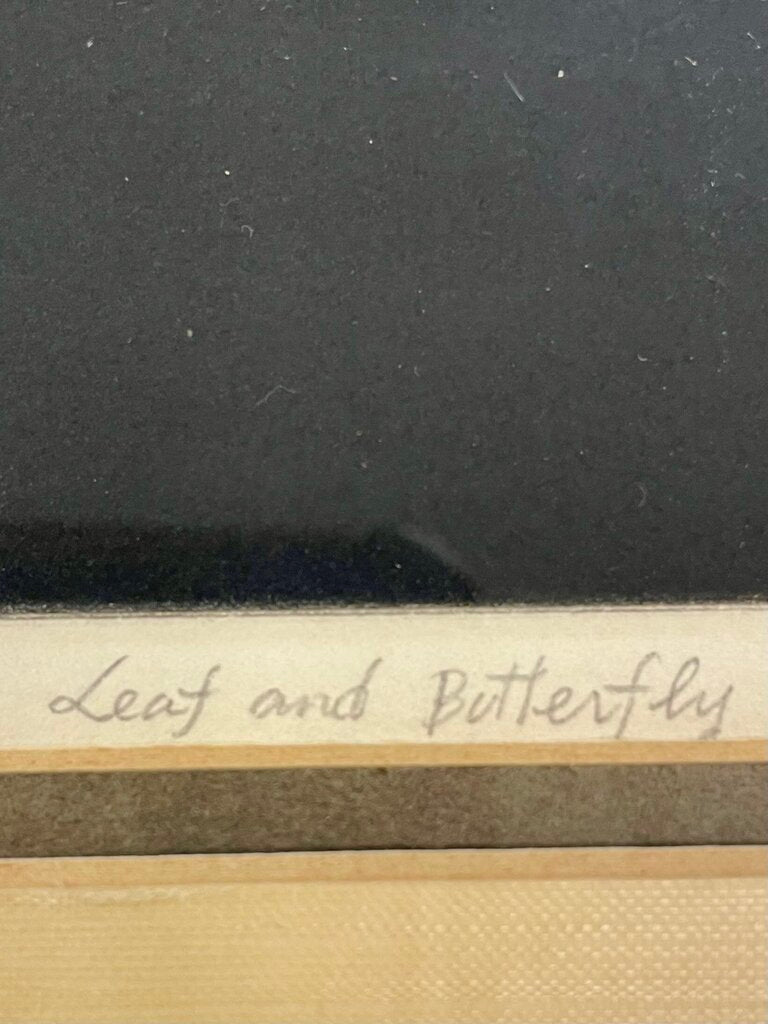 Tomoe Yokoi Mezzotint "Leaf and Butterfly"