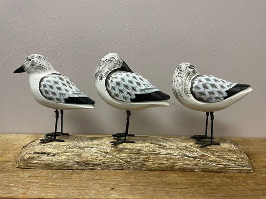 Sanderling Birds on Wooden Base
