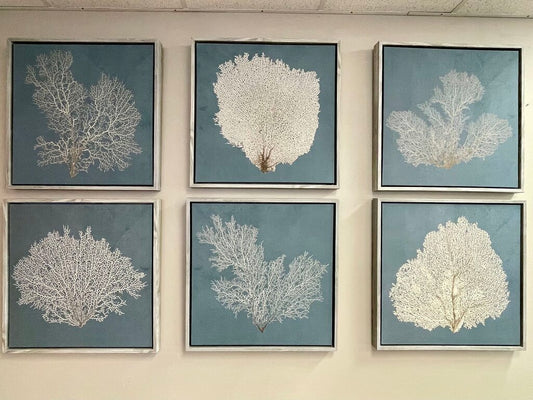 Beauty Under the Sea - FULL SET OF SIX