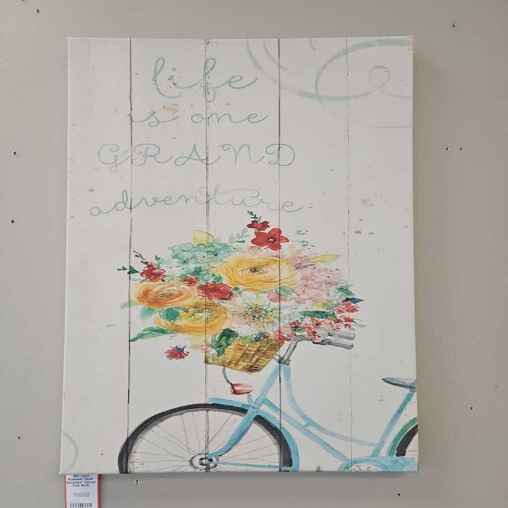 Carol Robinson "Great Adventure" Canvas Print