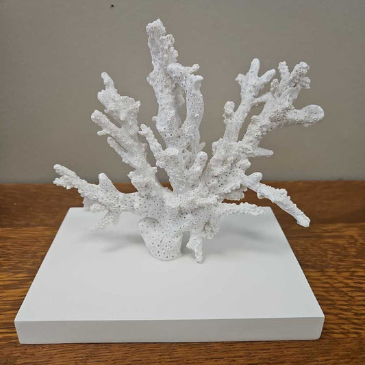 Floating Faux Coral Decorative Shelf