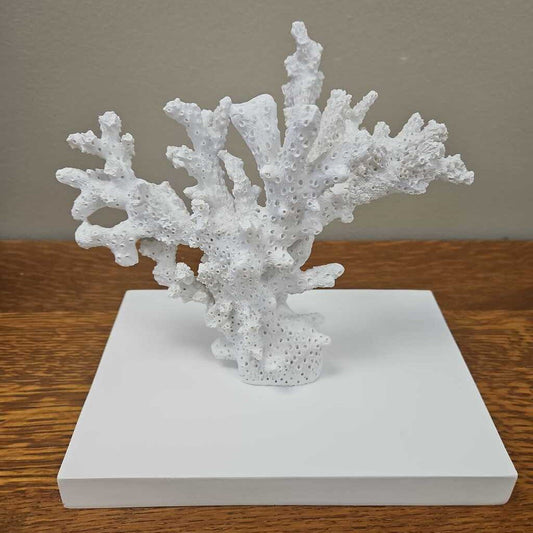 Floating Faux Coral Decorative Shelf